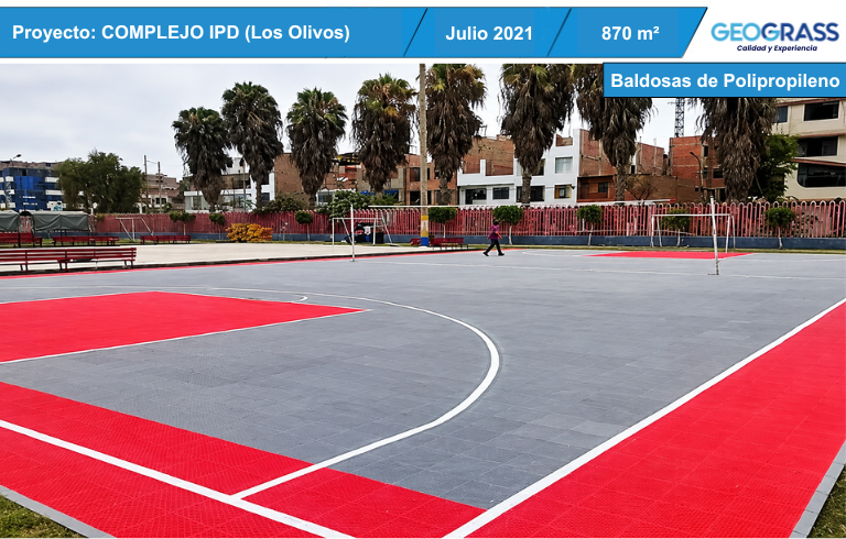 IPD - LOS OLIVOS